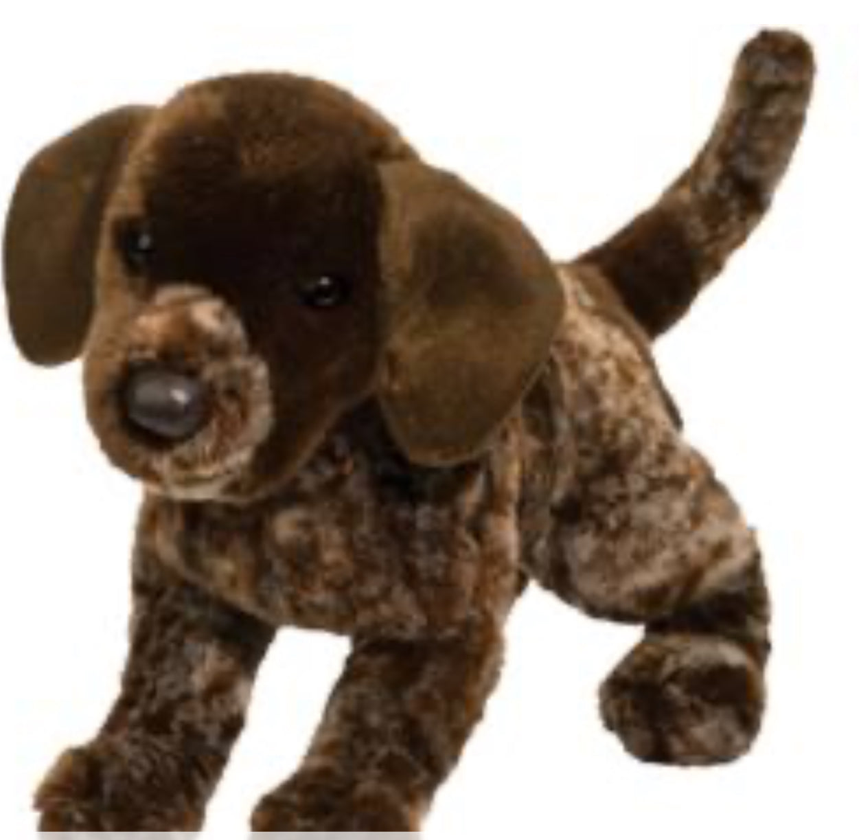 Wolfgang Pointer