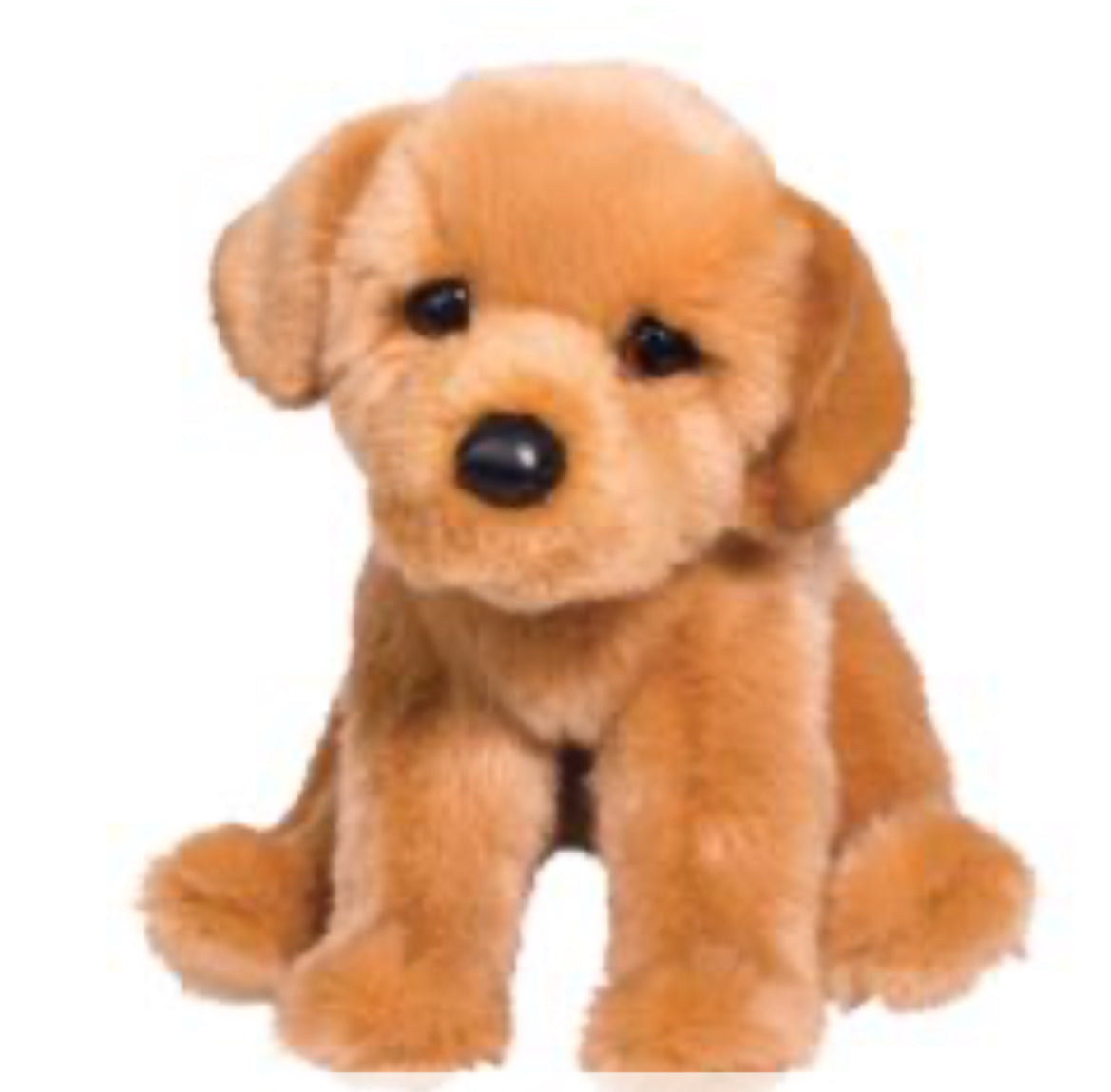 August Golden Retriever