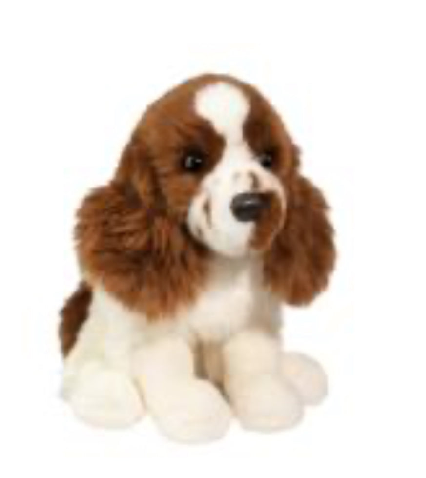 Chip Springer Spaniel