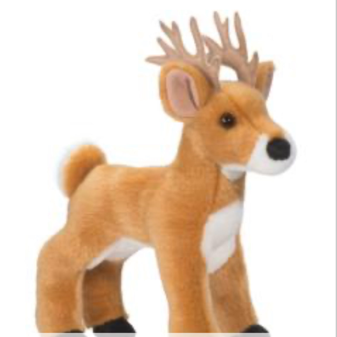 Swift White Tail Deer