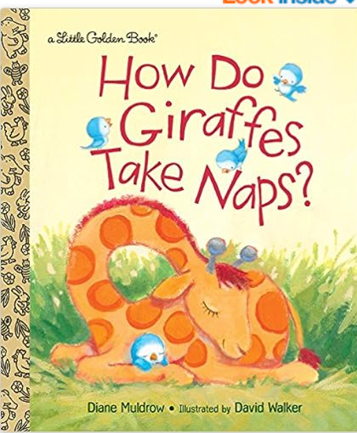 How Do Giraffes Take Naps?