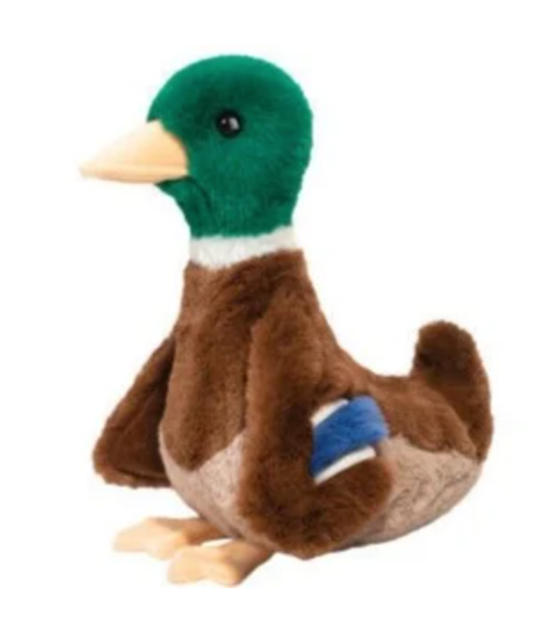 Desie Mallard Duck