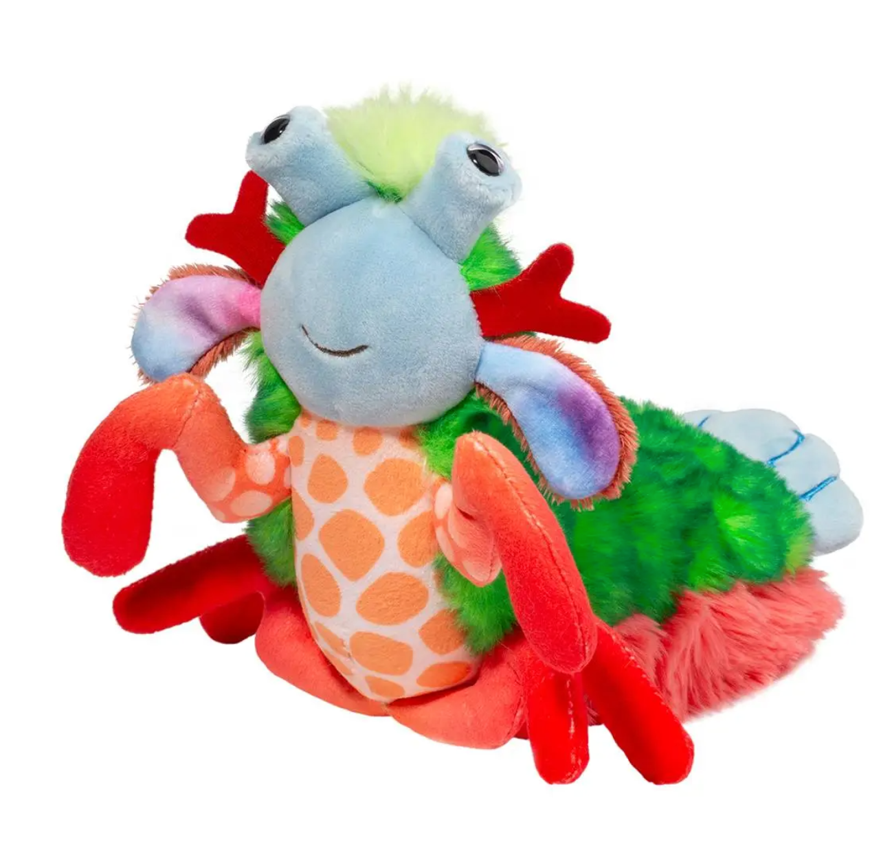 Punche Mantis Shrimp