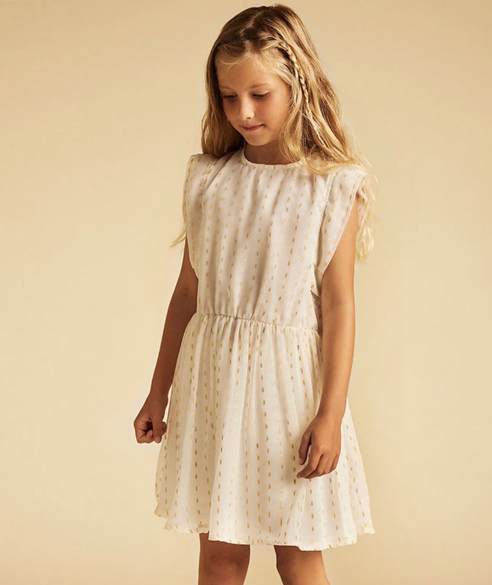 Chiffon Lurex Dress
