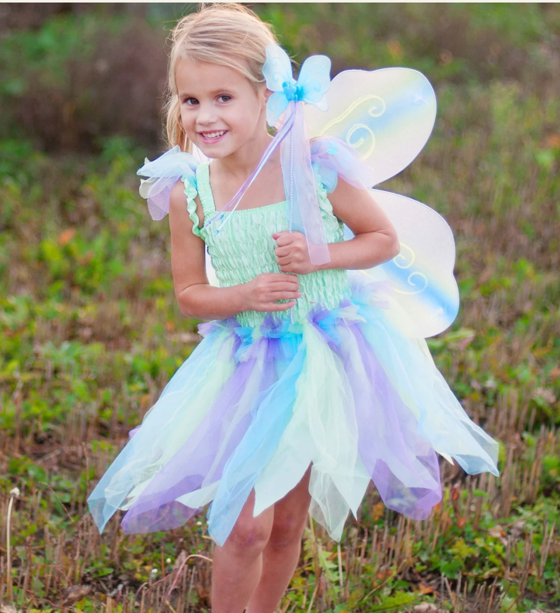 Butterfly Dress with Wings and Wand