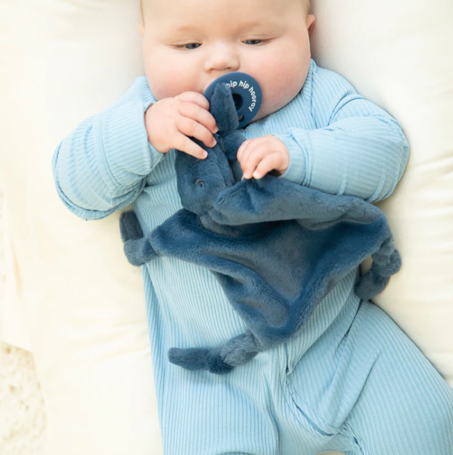 Hippo Bubbi Buddy