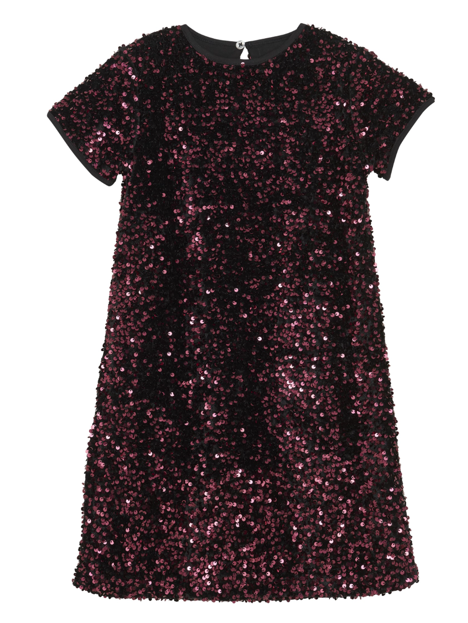 Vineyard Wine Sequin Velour Dress