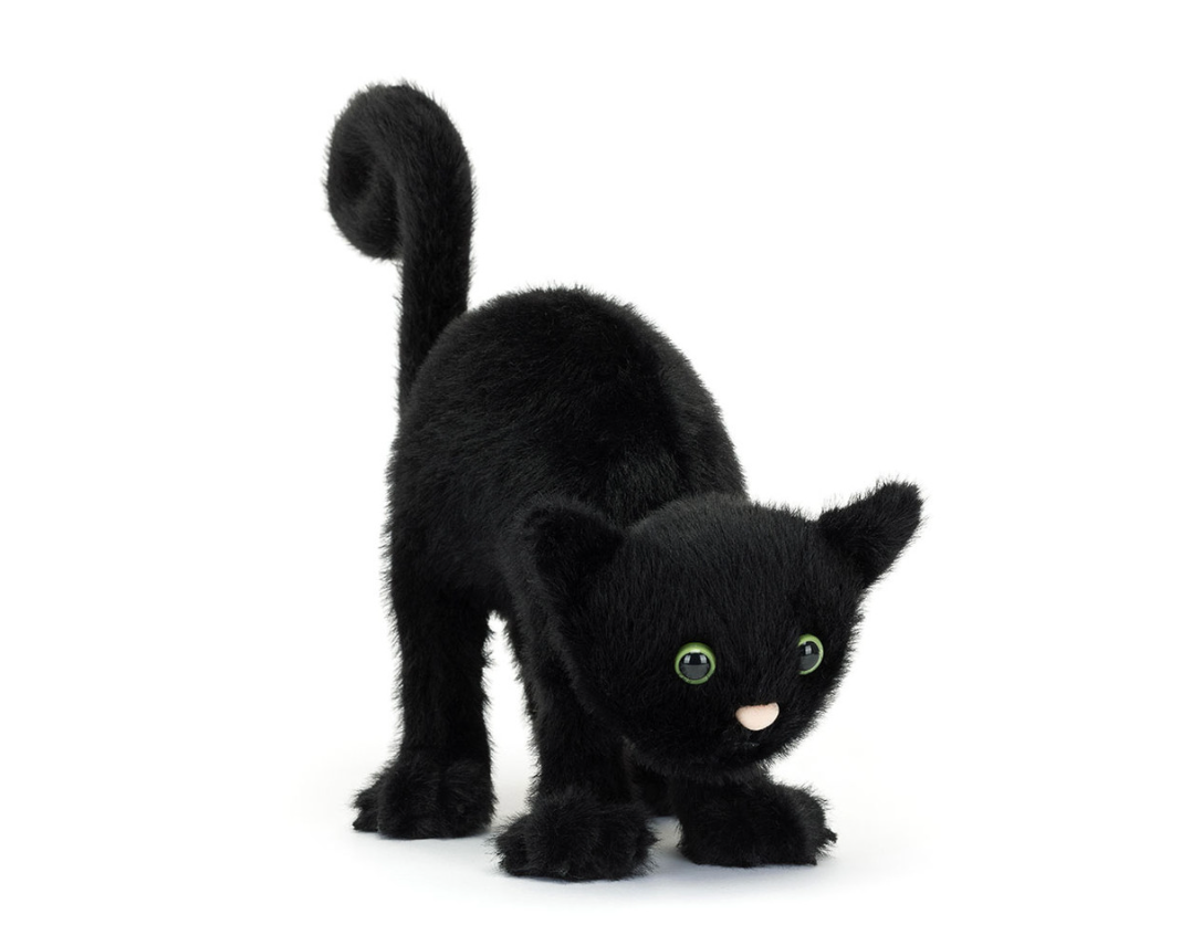 Spookipaws Cat