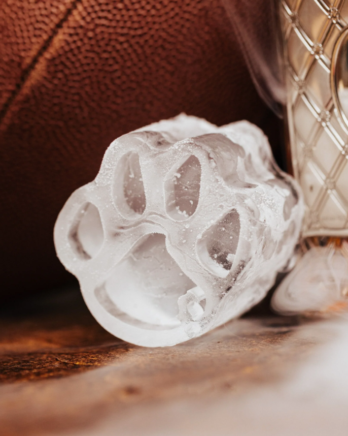 Clemson Team Ice Mold