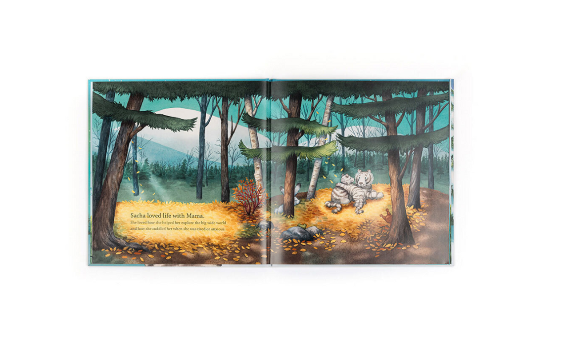Sacha and the Most Wonderful Thing Book