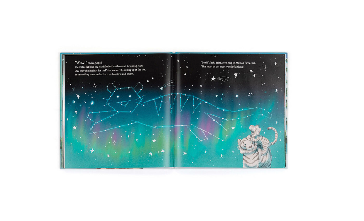Sacha and the Most Wonderful Thing Book