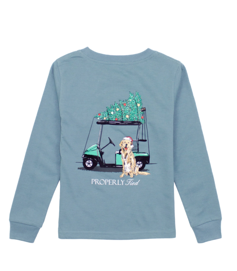 Santa's Caddy LS Steel Blue