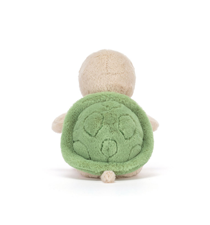 Thimble Turtle