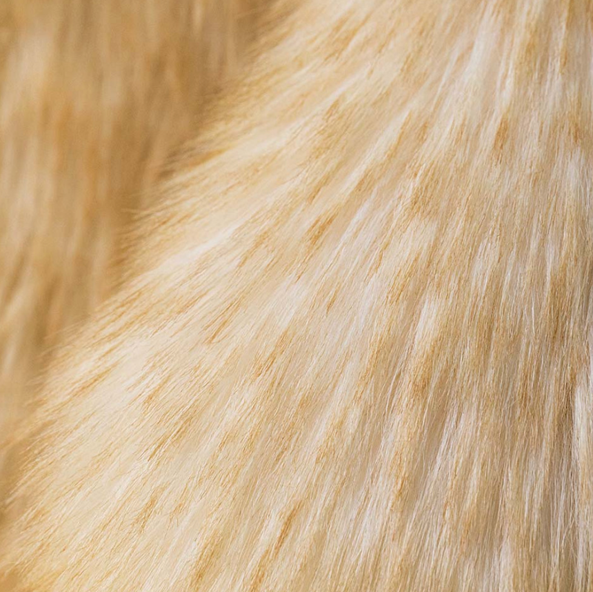 Springlowe Luxe Bunny