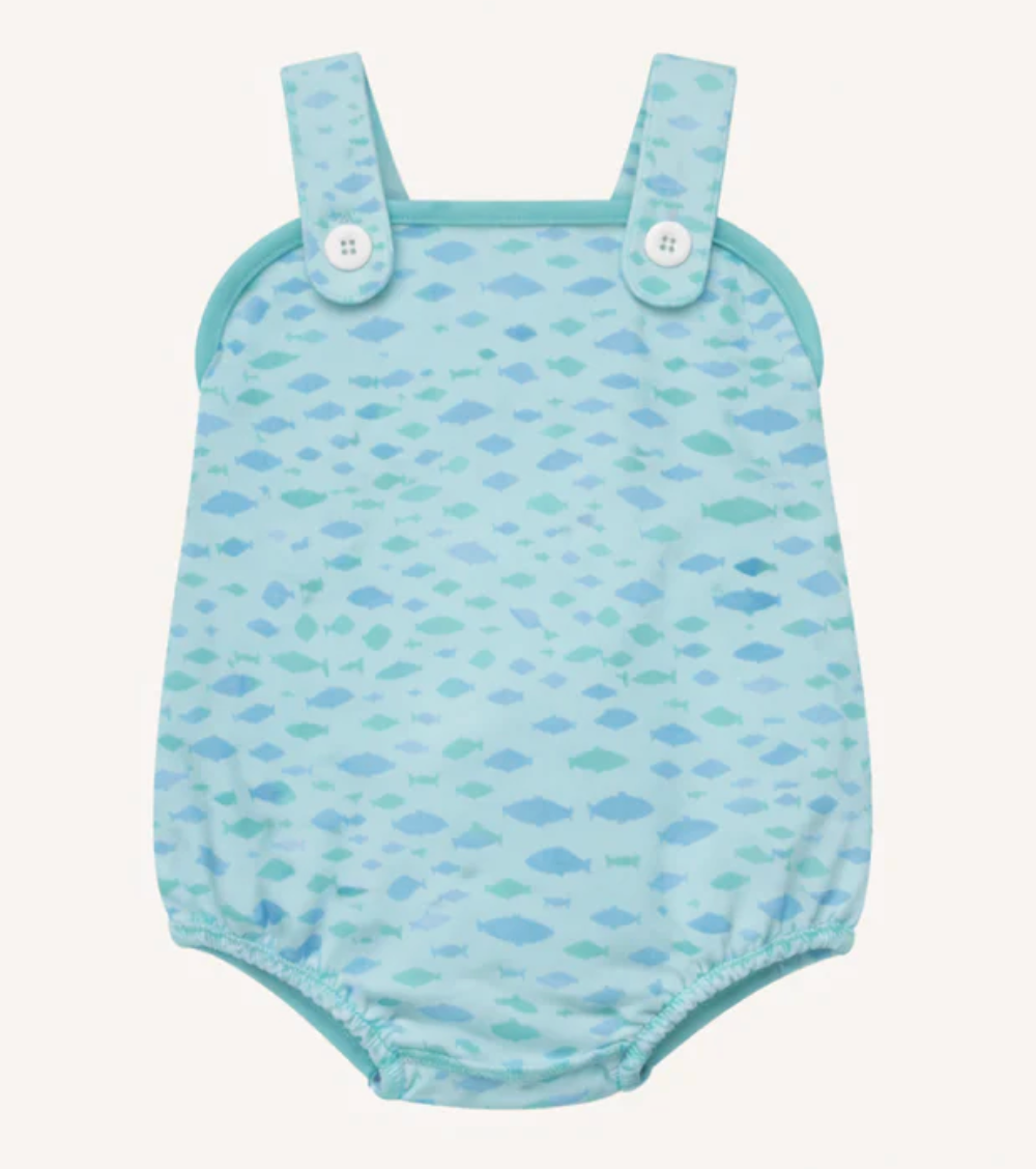 Bingham Bubble Pima Sarasota School of Fish