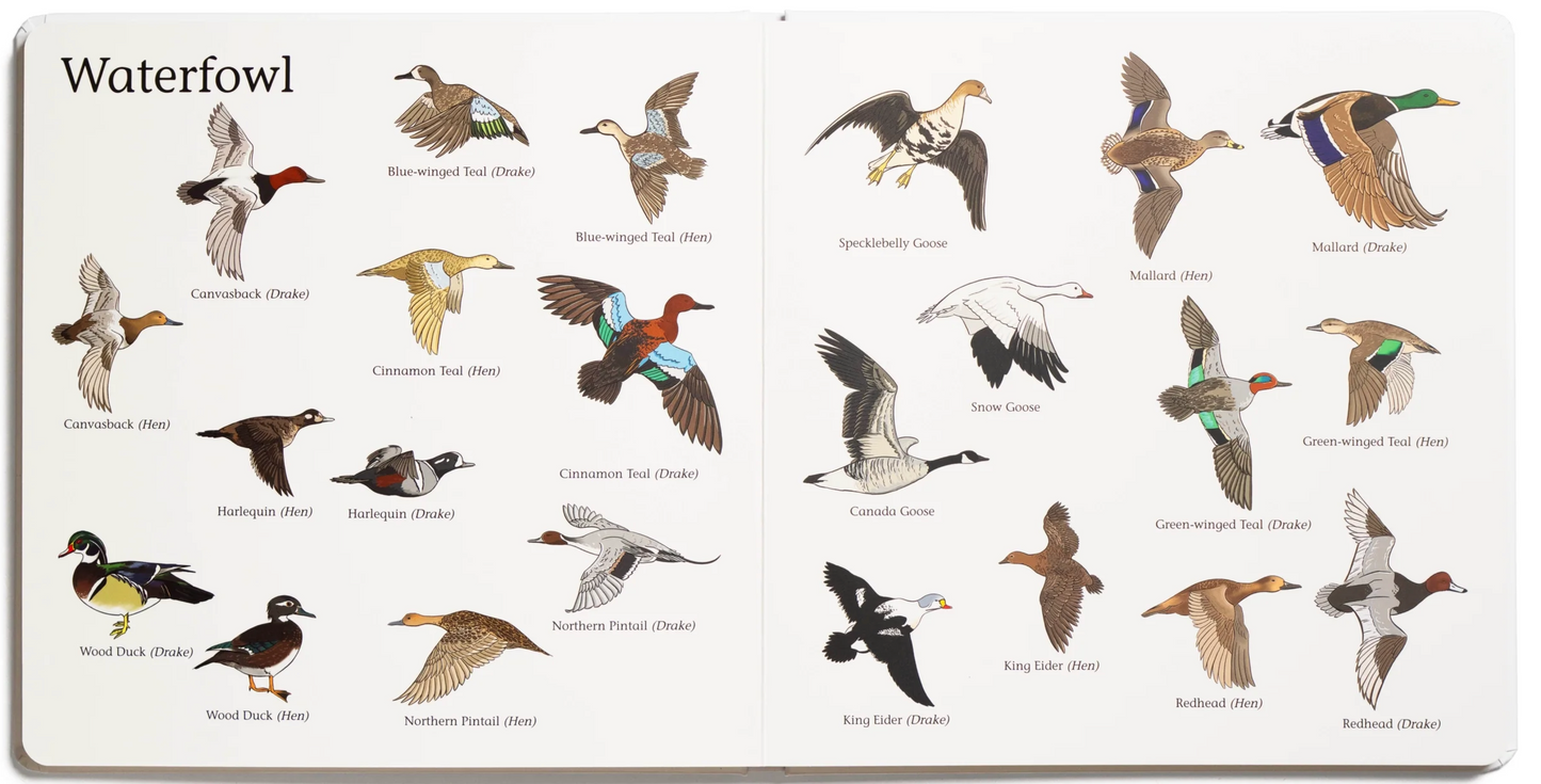 The Big Book of Hunting