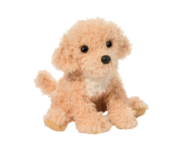 Noodle Golden Doodle