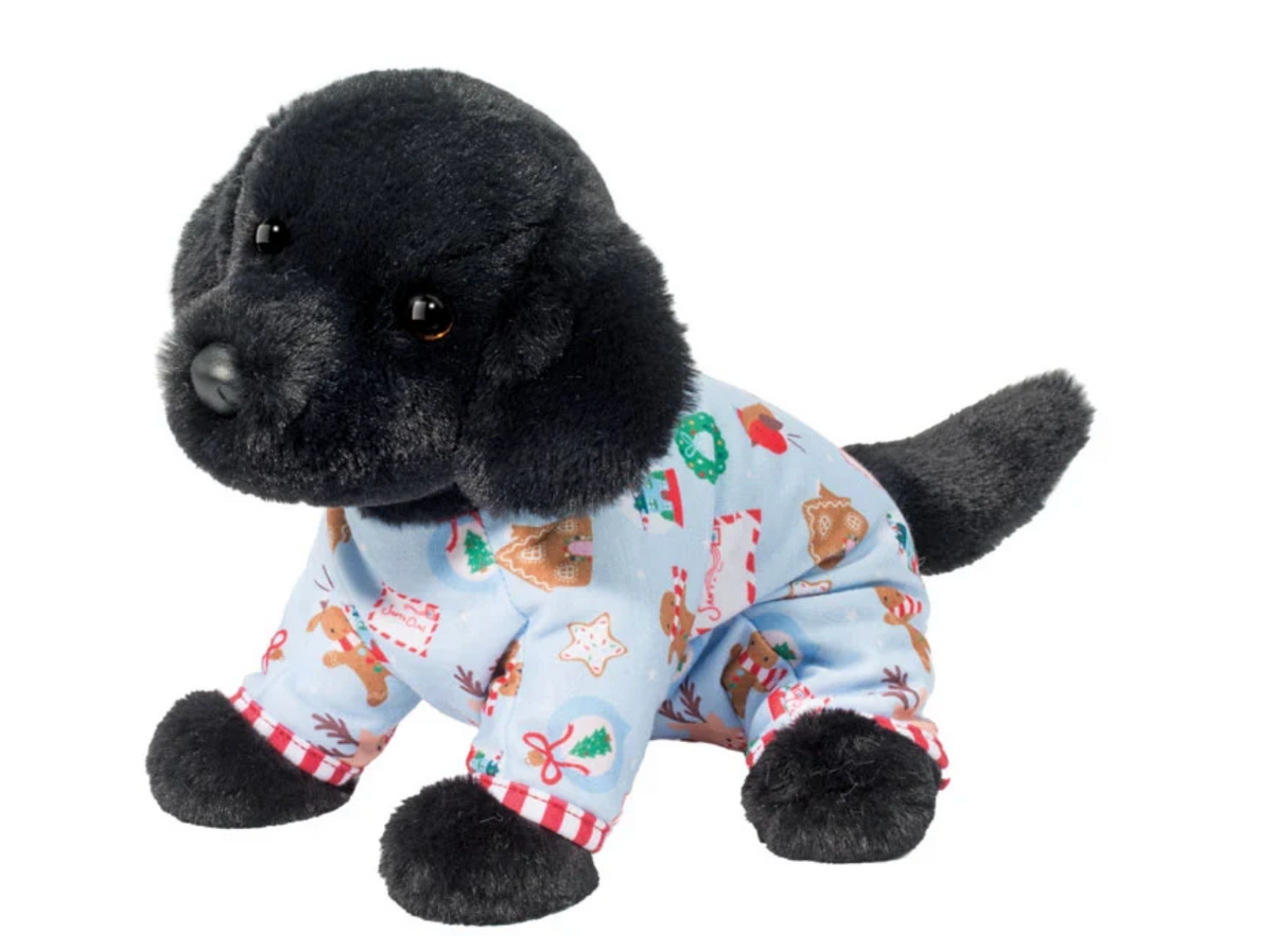 Black Lab with PJ's