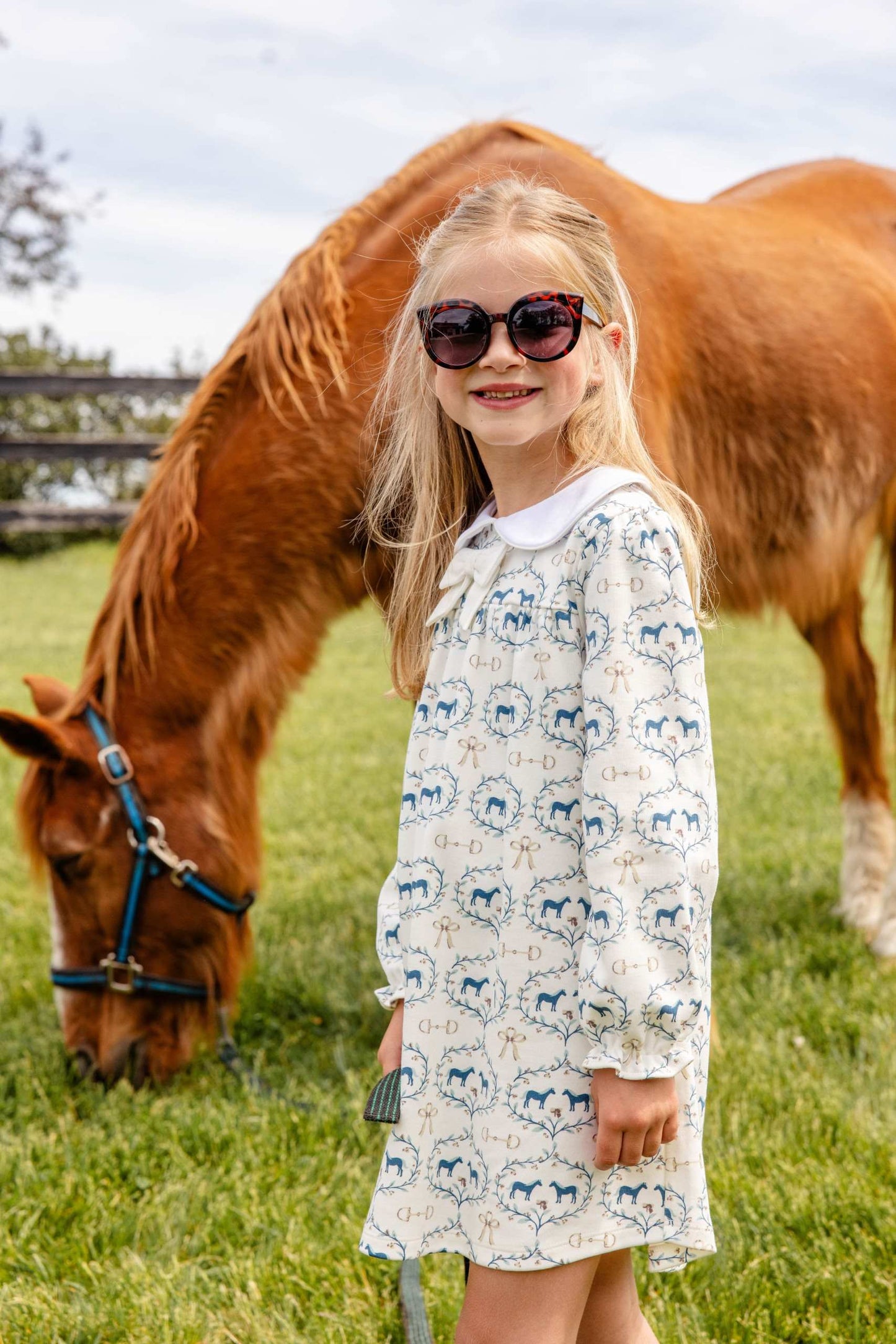 Long Sleeve Banks Bow Dress- Pima Horse Bits and Bows