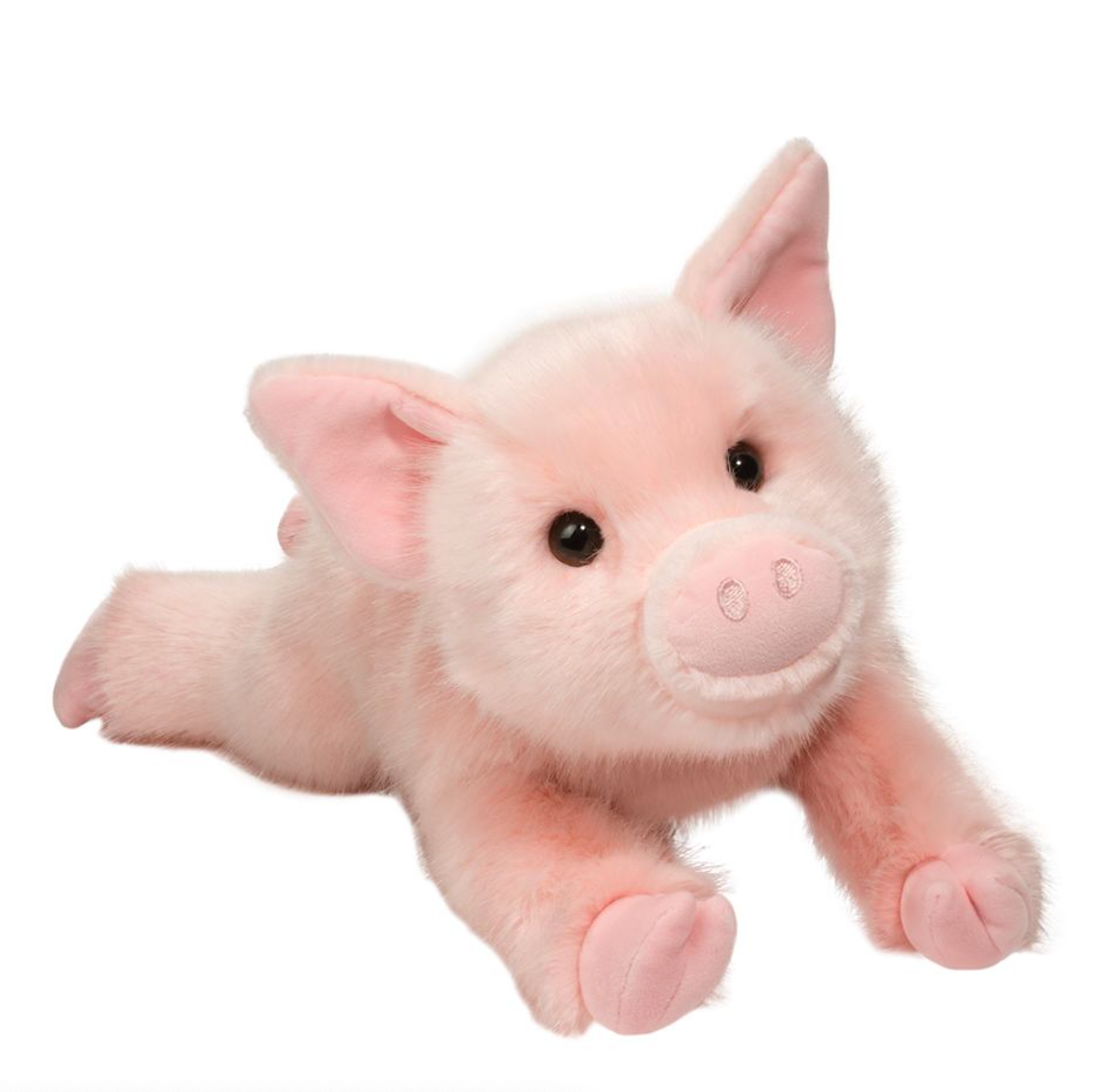 Charlize the Pig