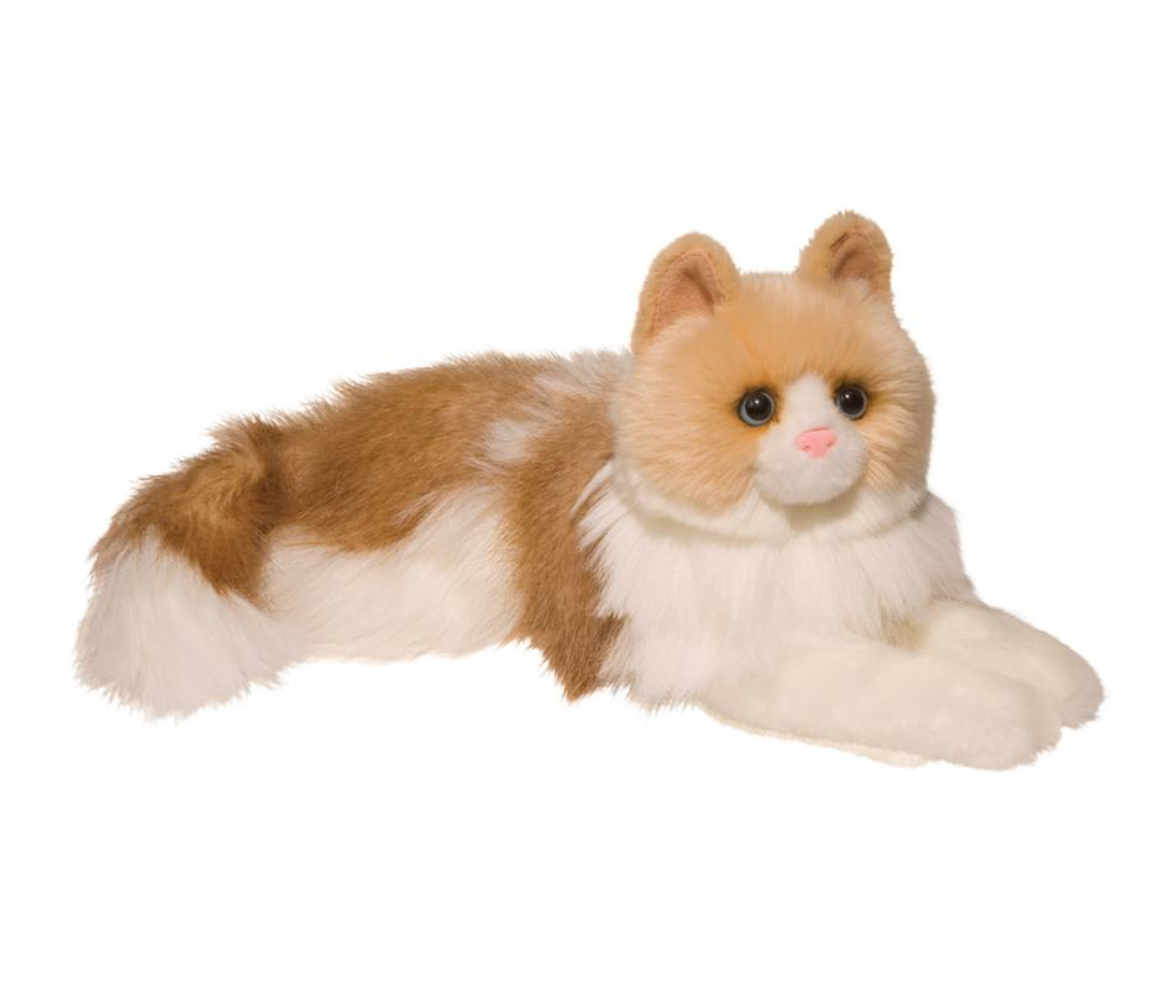 Kiki Ragdoll Cat