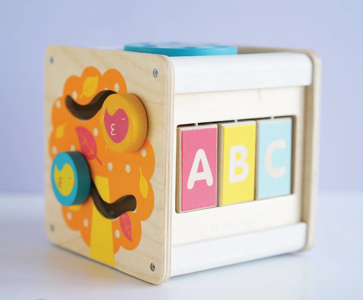 Petit Activity Cube