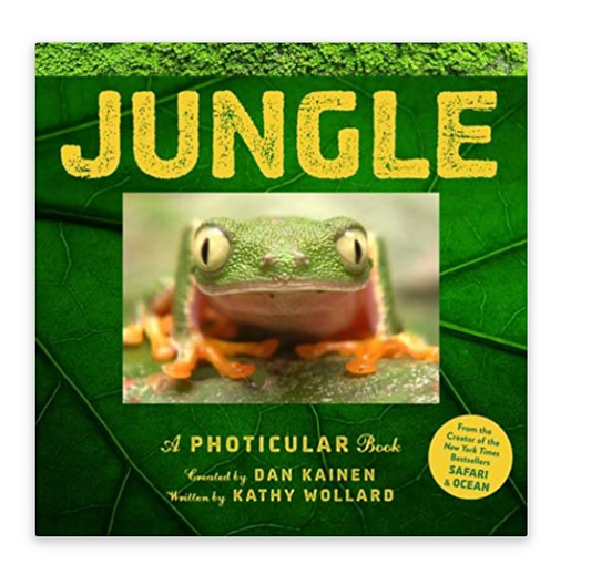 Jungle