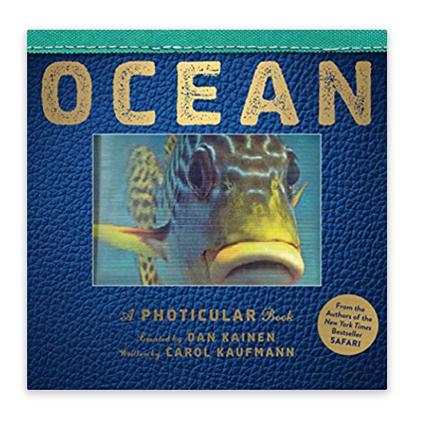 Ocean