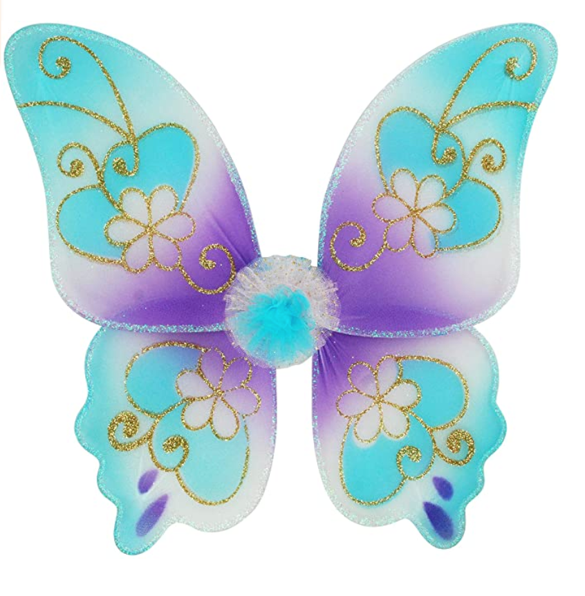 Princess Dreams Wings