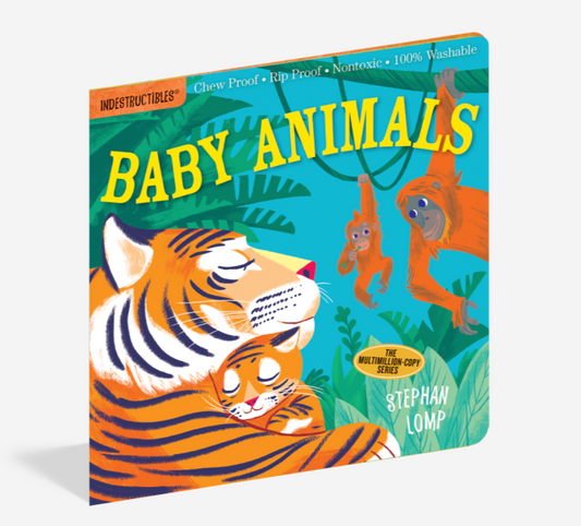 Baby Animals