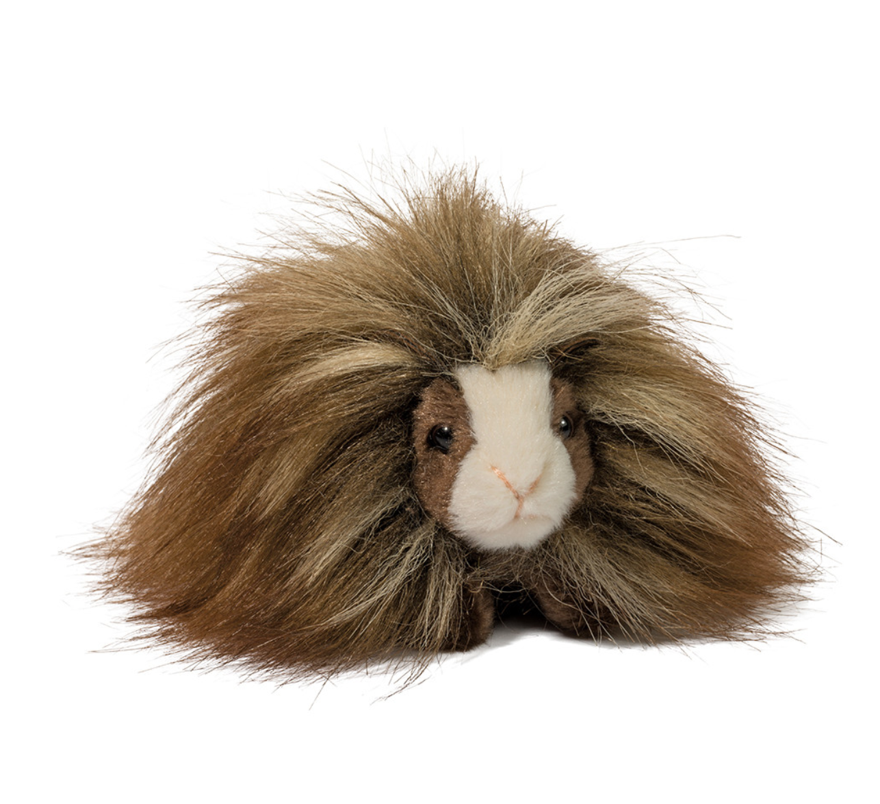 Ginny Mini Guinea Pig