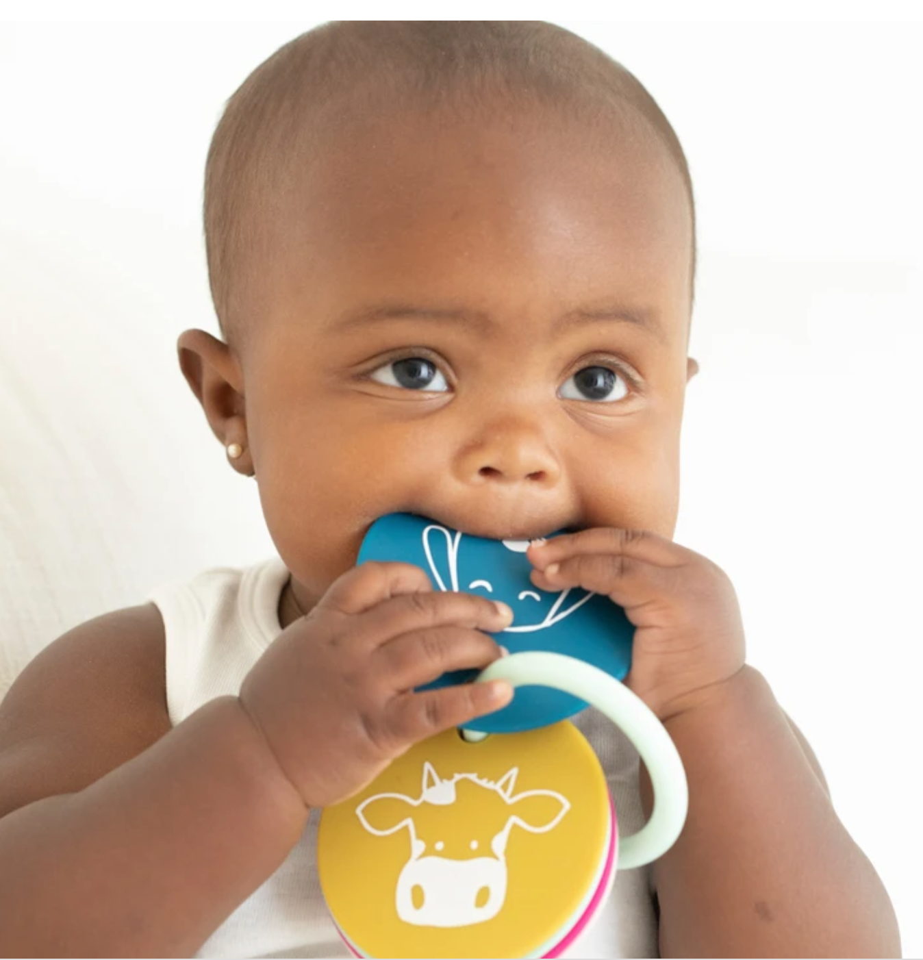 Party Animals Teething Flashcards