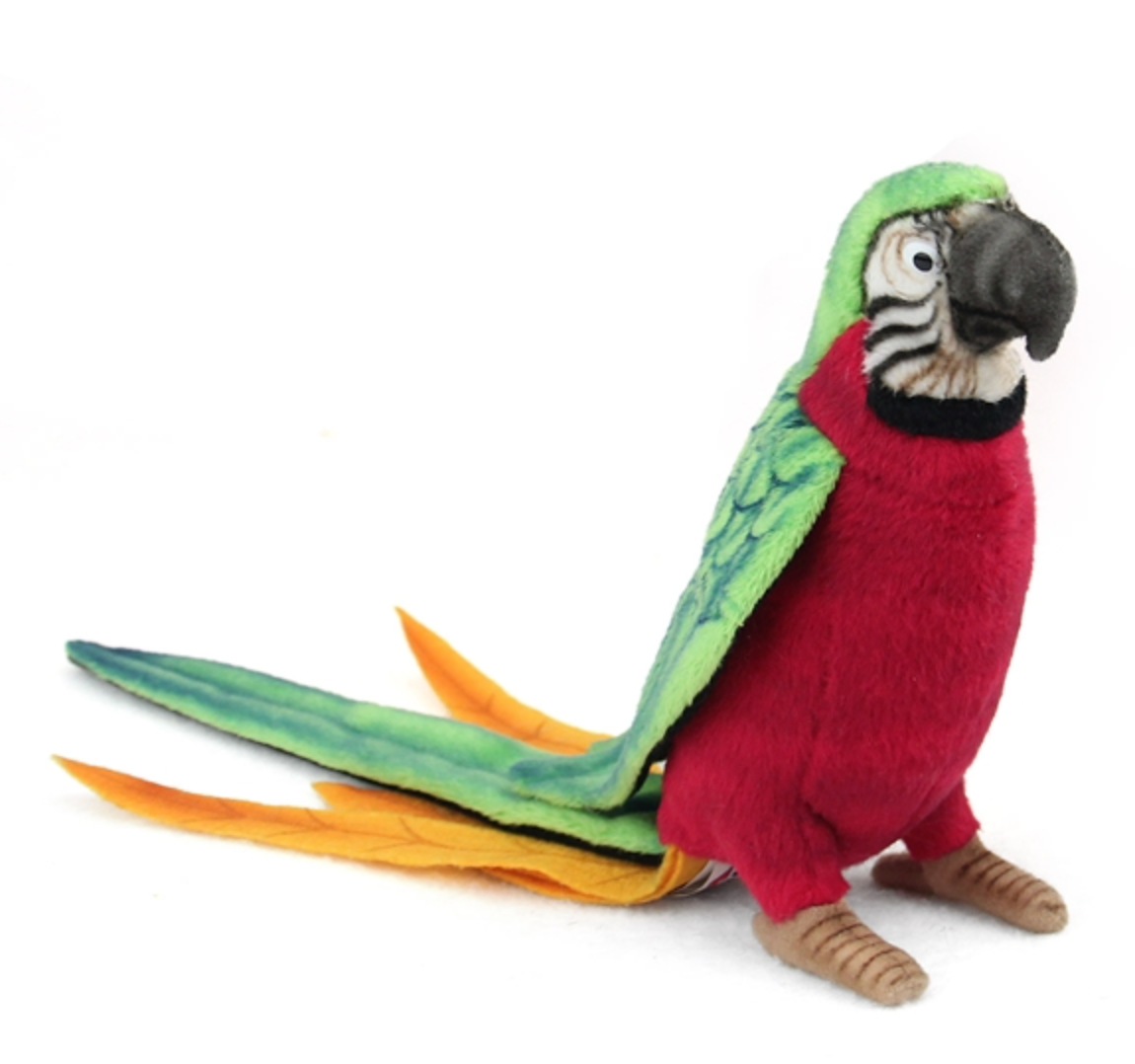 Parrot Red Body