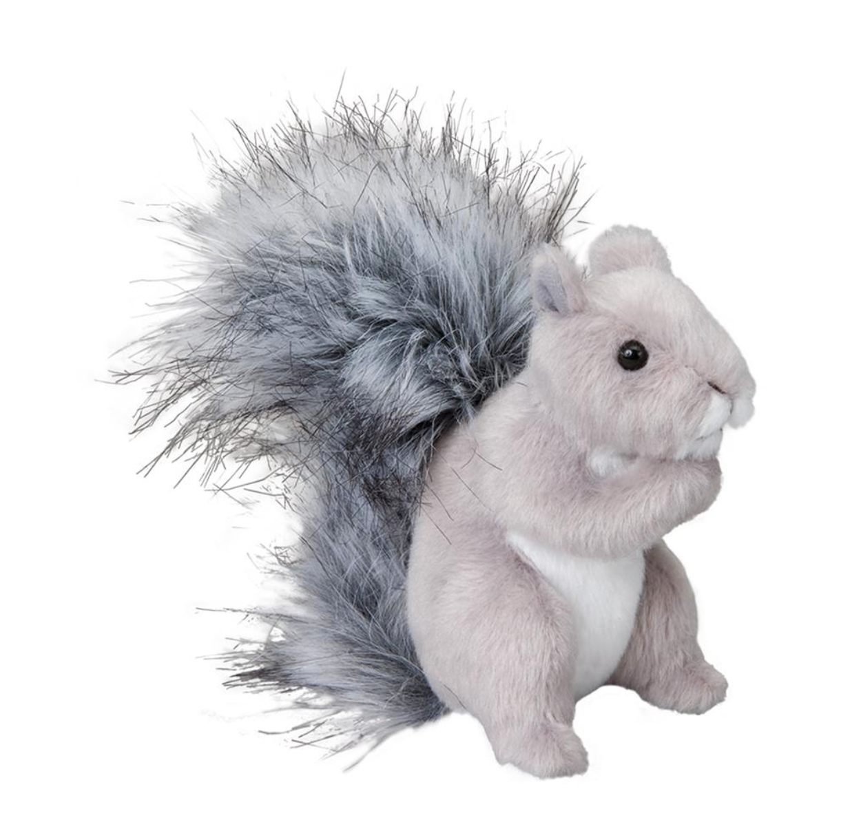 Shasta Grey Squirrel