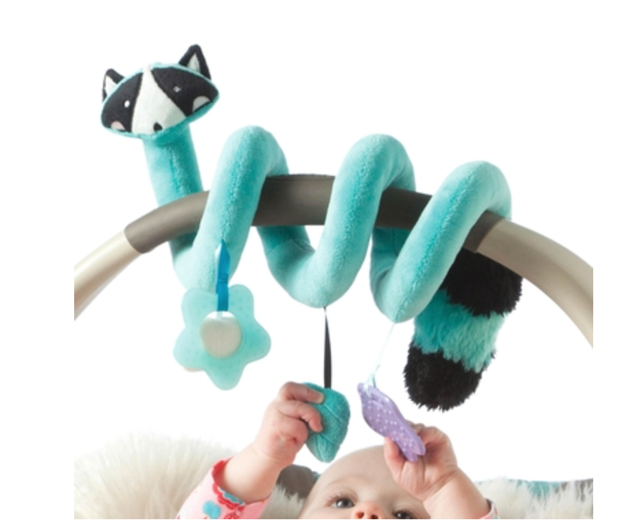 Blue Raccoon Activity Spiral