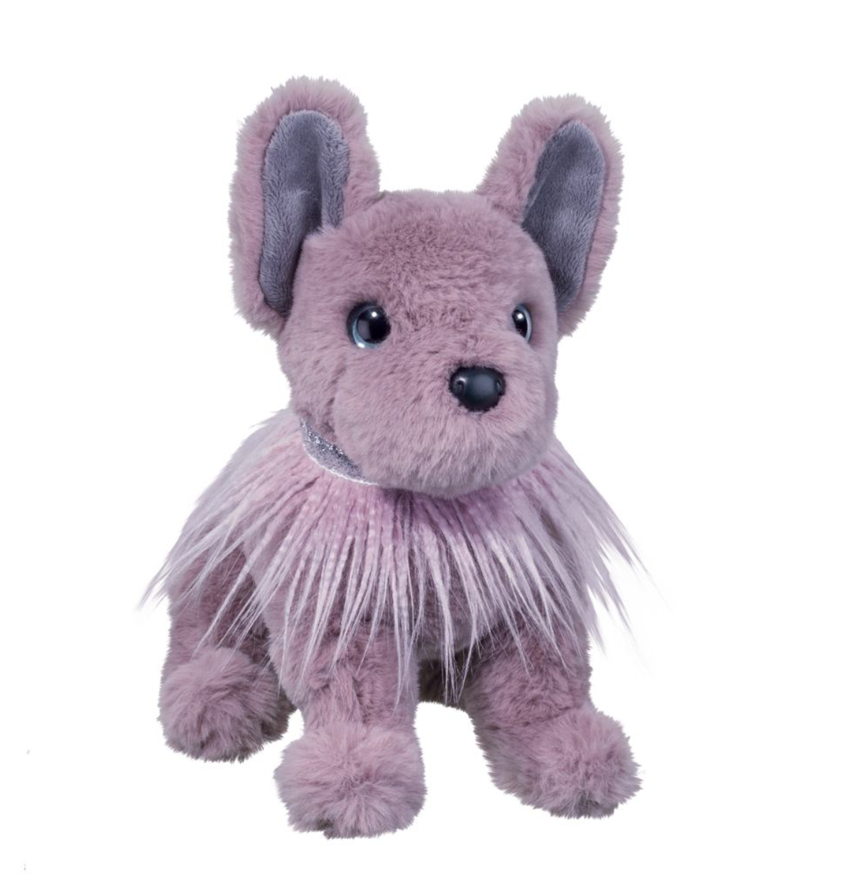 Lilac French Bulldog