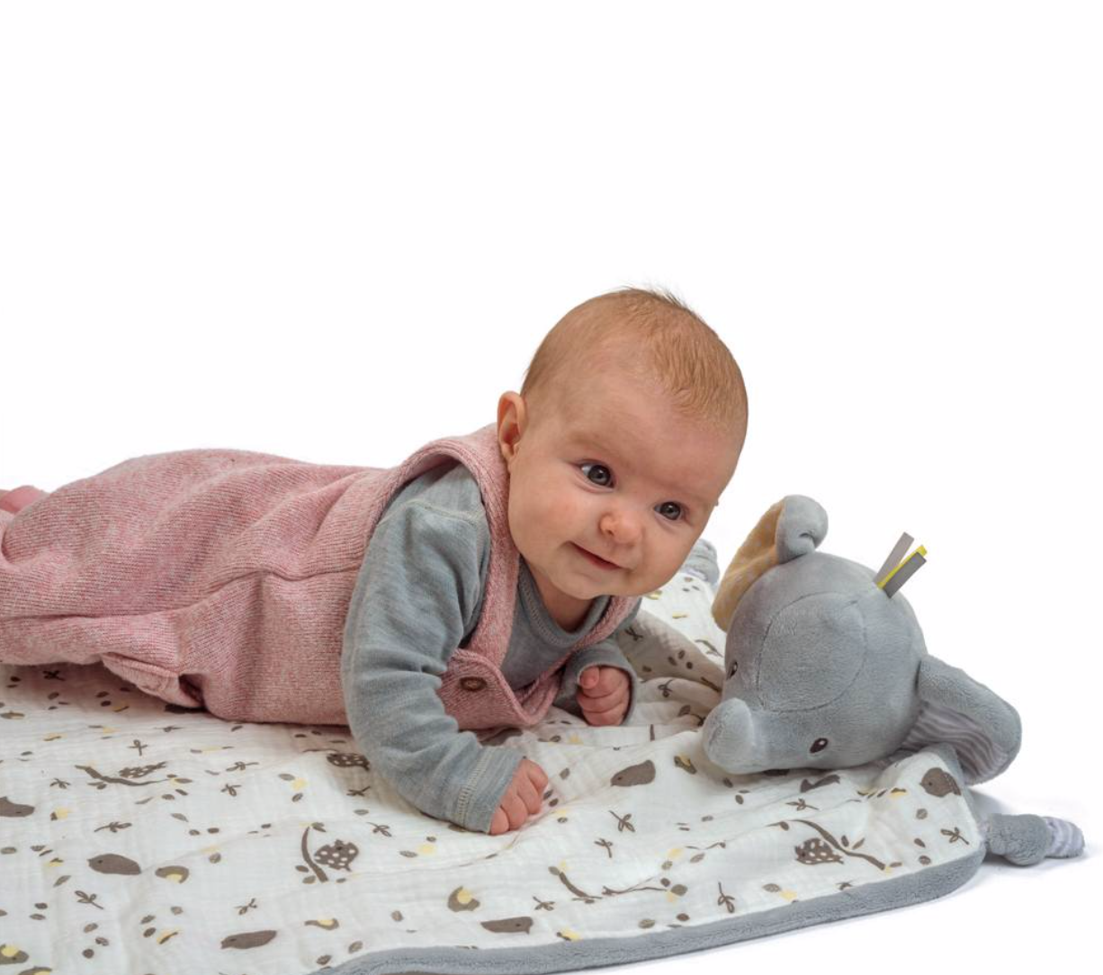 Joey Gray Elephant Blanki Lovey
