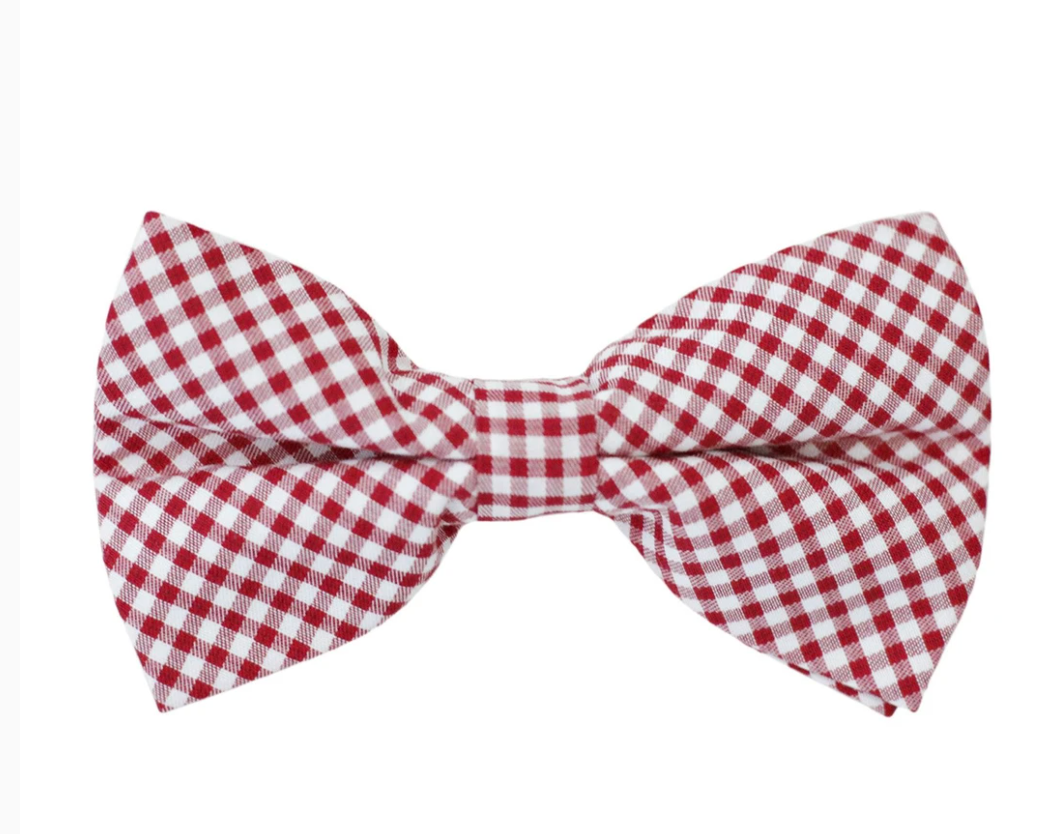 Bowentie Rutledge Red Gingham