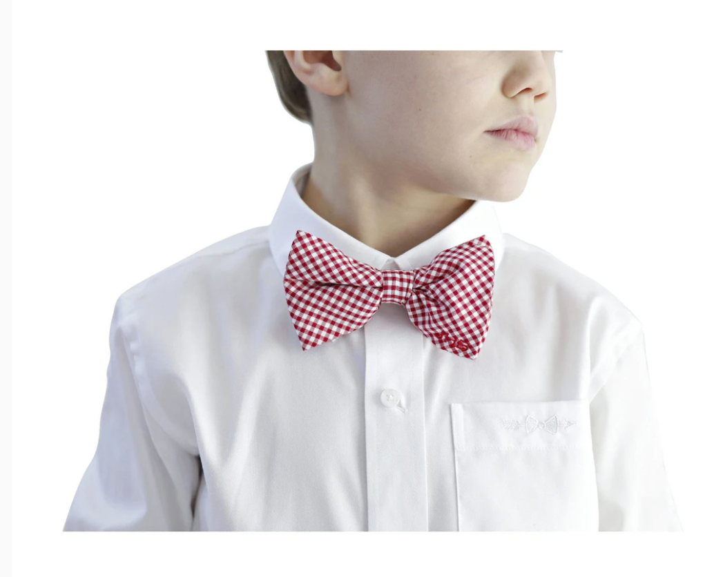 Bowentie Rutledge Red Gingham