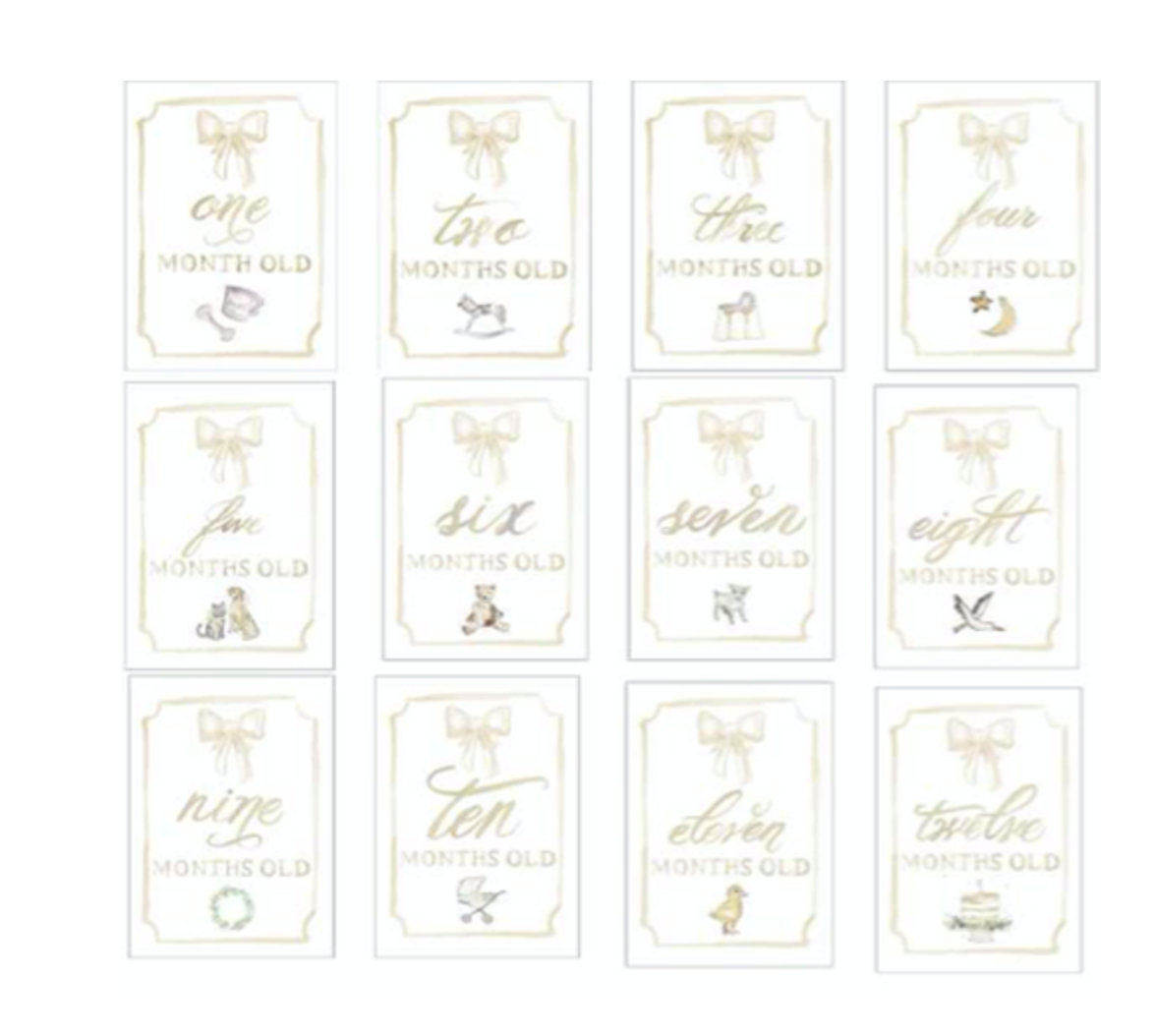 Month by Month Baby Cards Platinum