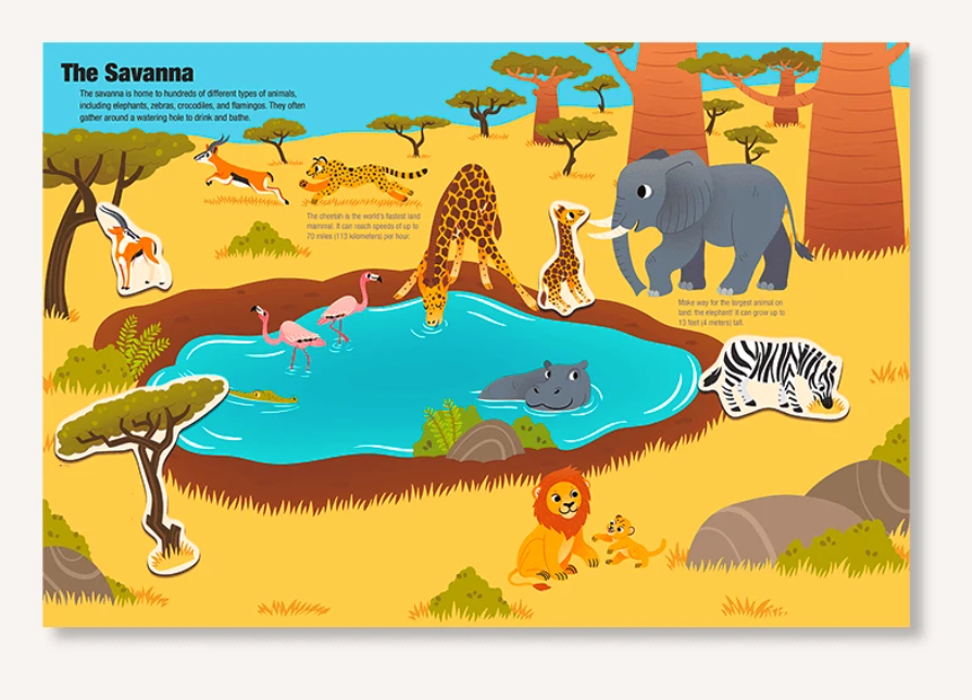 Animals Magnetic Book