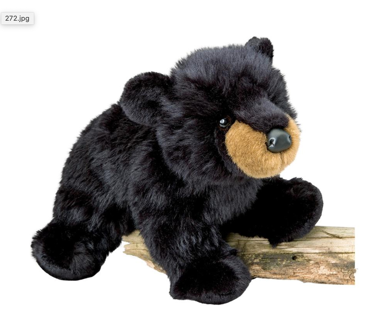 Boulder Black Bear