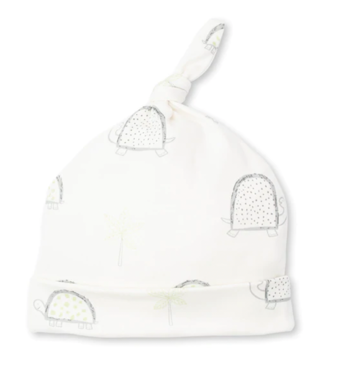 Love Turtles Hat
