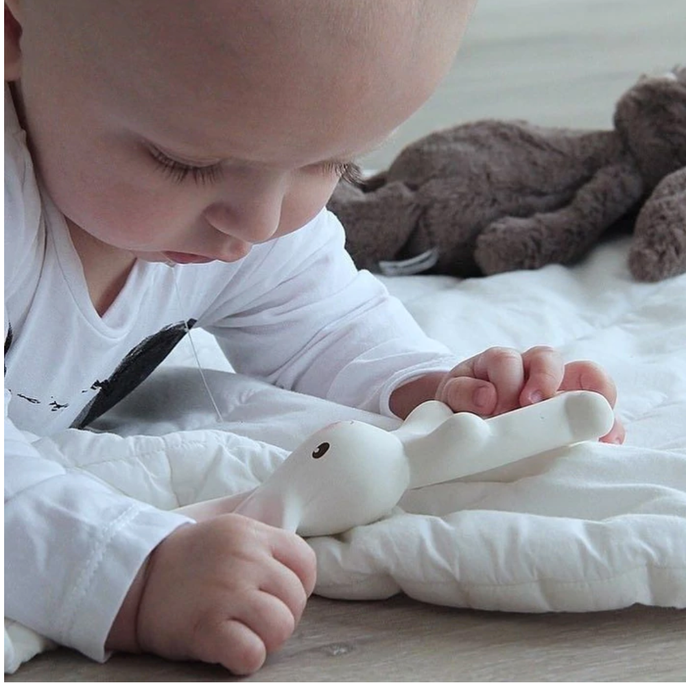Havah the Bunny Teether