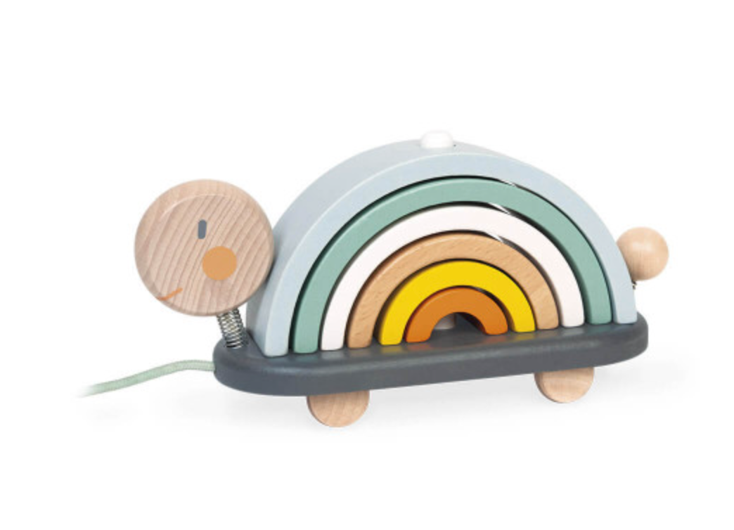 Sweet Cocoon Rainbow Turtle