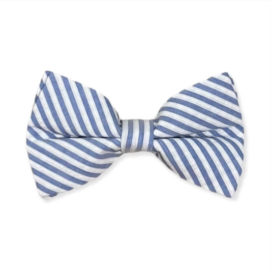 Bowentie Sea Island Seersucker