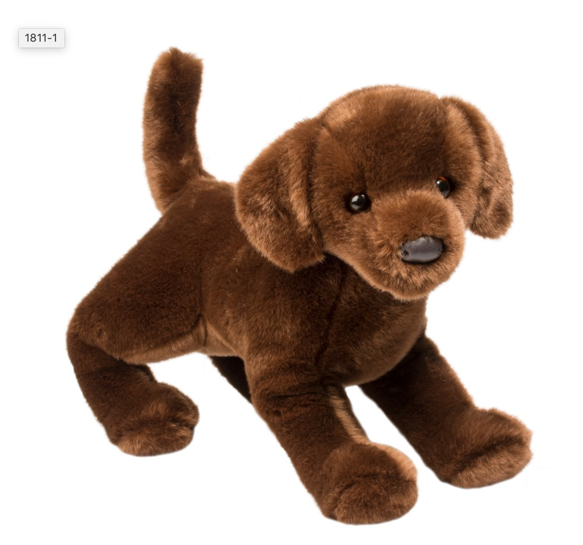 Cocoa Chocolate Lab
