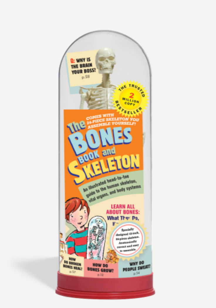 The Bones Book and Skeleton