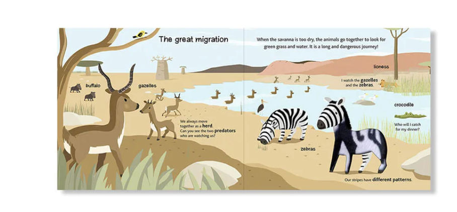 Touch And Explore - Safari