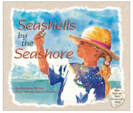 Seashells by the Seashore